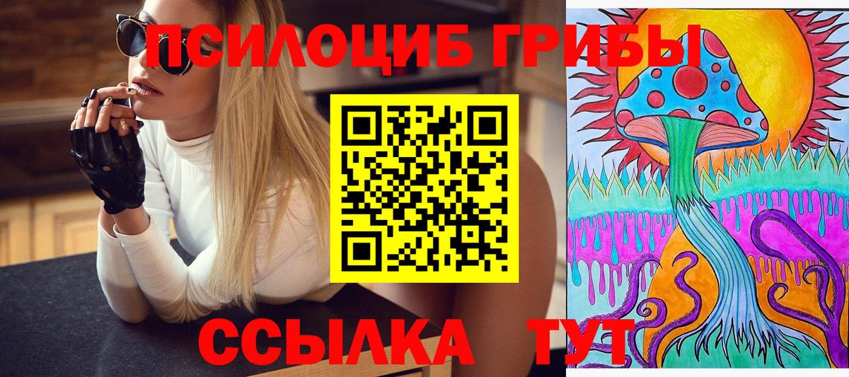 Псилоцибиновые грибы MAGIC MUSHROOMS  Псилоцибиновые грибы MAGIC MUSHROOMS  Вход с VPN  Гусев 